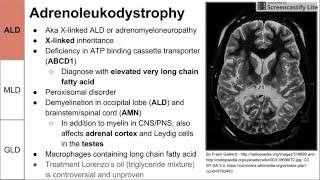 Leukodystrophies ALD MLD and GLD [upl. by Aleris544]