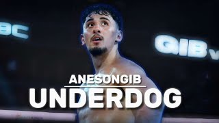 AnEsonGib UNDERDOG  Boxing Documentary [upl. by Mellar]