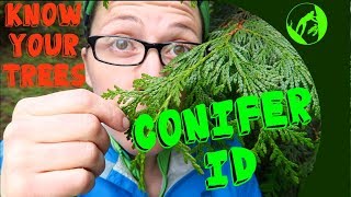 Know Your Trees  Conifer Identification [upl. by Tippets]