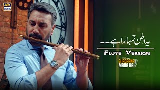 Ye Watan Tumhara Hai  Adnan Siddiqui  Flute Version [upl. by Robinette713]