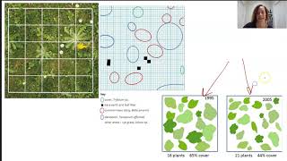 GCSE Biology  Classification 80 [upl. by Mccall]