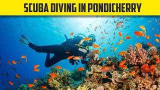 Scuba Diving Experience in Pondicherry  BEST Underwater experience in India😍 [upl. by Auqenahc297]