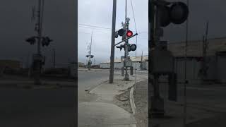 Amtrak 816 leads coast starlight through Castroville California Broken light on crossing gate [upl. by Aseret519]