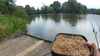 Feeder Fishing Tips  Bait Rigs Tactics  Catch More Fish [upl. by Limann]