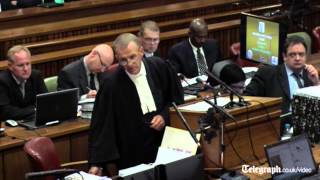 Oscar Pistorius appears to change defense under cross examination [upl. by Gabriela]