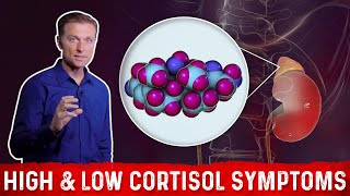 Low vs High Cortisol Levels Symptoms Explained By DrBerg [upl. by Puritan]