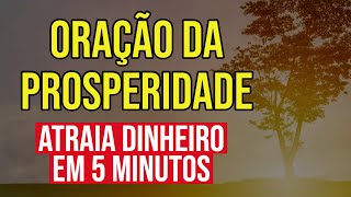 ORAÇÃO DA PROSPERIDADE E DO DINHEIRO EM 5 MINUTOS [upl. by Wardle]