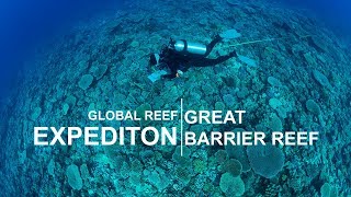 Global Reef Expedition Great Barrier Reef [upl. by Gillian497]