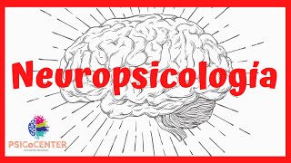 NEUROPSICOLOGÍA ¿Qué es ¿Cuáles son sus ámbitos de acción y competencias [upl. by Adnawt]