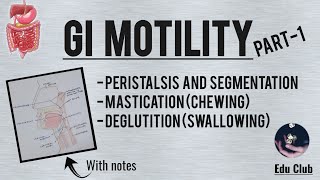 GI Motility Part  1  Chewing Reflex  Deglutition  Gastrointestinal Physiology [upl. by Atteloj]