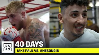 40 DAYS  Jake Paul vs AnEsonGib [upl. by Ingles]