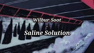 Wilbur Soot  Saline Solution  lyrics [upl. by Schrader]