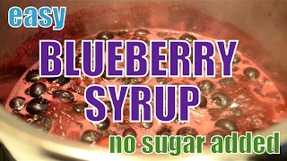 The EASIEST Blueberry Syrup Recipe No Sugar Added [upl. by Elauqsap146]