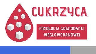 Fizjologia gospodarki węglowodanowej [upl. by Marie250]