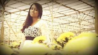 Ninaithu  Official Music Video 2013  Thyivya Kalaiselvan Feat Shane Xtreme and D7 of SLY squad [upl. by Jamill]