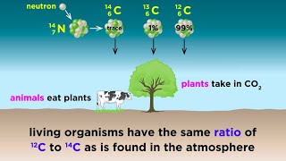 Radiometric Dating Carbon14 and Uranium238 [upl. by Erwin529]