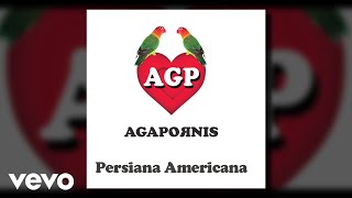 Agapornis  Persiana Americana Pseudo Video [upl. by Hassadah472]