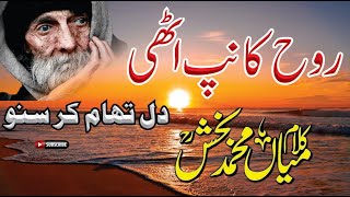 Kalam Mian Muhammad Bakhsh Saif Ul Malook  Heart Touching Poetry [upl. by Dania]