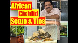 African Cichlid Fish  How to Setup an Aquarium  Mayur Devs Tips on Cichlid Fish Keeping HD1080p [upl. by Handler]