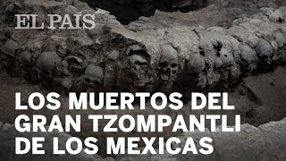 Nueva excavación del gran tzompantli mexica  Cultura [upl. by Eenram]