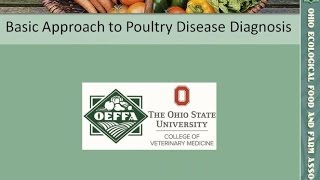 A Basic Approach to Poultry Disease Diagnosis [upl. by Bertrand]