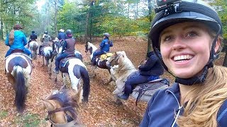 In westernstijl galopperen over de Veluwe met Paarden YouTubers  Vlog 71 [upl. by Eidnalem994]