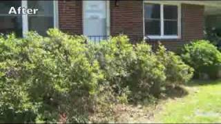 How to Prune Azaleas [upl. by Anirpas503]