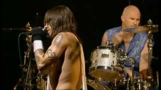 Red Hot Chili Peppers  Live La Cigale 2006 [upl. by Ripp]