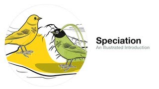 Speciation An Illustrated Introduction [upl. by Arihsat]