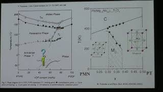 Y Liu  Revealing the morphotropic phase boundary in ferroelectric P VDFTrFE copolymers [upl. by Vasilis]