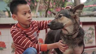 Rabies Vaccination can save lives [upl. by Karolyn]