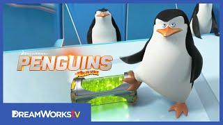 Meet Kowalski  PENGUINS OF MADAGASCAR [upl. by Creigh]