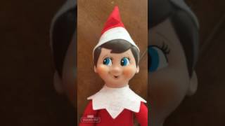 ELF ON THE SHELF CAUGHT TALKING [upl. by Faxon]