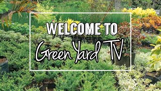 GARDEN TOUR  GREEN YARD TV [upl. by Egarton895]