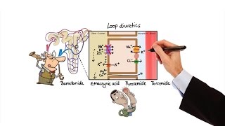 Pharmacology  DIURETICS MADE EASY [upl. by Yessac994]