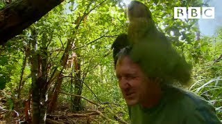 Shagged by a rare parrot  Last Chance To See  BBC [upl. by Akram617]