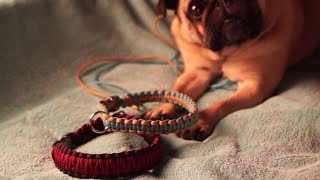 DIY Paracord Hundehalsband [upl. by Vallery]