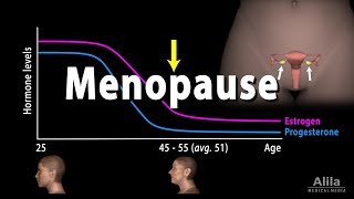 Menopause Perimenopause Symptoms and Management Animation [upl. by Saucy]