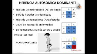 HERENCIA AUTOSÓMICA DOMINANTE Y RECESIVA [upl. by Sartin]