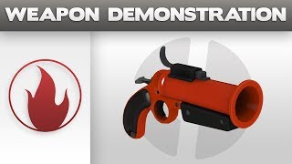 Weapon Demonstration Flare Gun [upl. by Hsakiv]