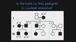 XLinked Recessive Traits in a Pedigree [upl. by Notniv]