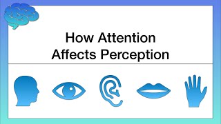 How Attention Affects Perception [upl. by Aloeda]