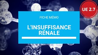 UE 27 Linsuffisance rénale [upl. by Ruhtracam]