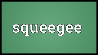 Squeegee Meaning [upl. by Yerhpmuh]