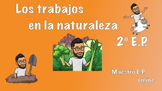 El SECTOR PRIMARIO  TRABAJOS en la NATURALEZA  Para NIÑOS de PRIMARIA  2º EP  CCSS 31 [upl. by Netsryk]