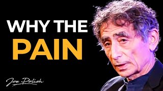 BEST Explanation of Addiction I’ve Ever Heard Dr Gabor Maté [upl. by Llenoil]