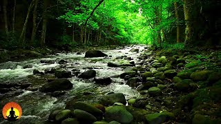 15 Minute Meditation Music Calm Music Relax Meditation Stress Relief Spa Study Sleep ☯3527B [upl. by Jovi817]