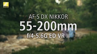 Exploring NIKKOR Lenses Bali with the AFS DX NIKKOR 55200mm f456G ED VR II [upl. by Annirak]