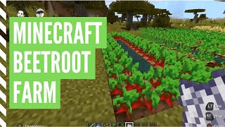 How To Plant BEETROOT In Minecraft Minecraft Beetroot Farm [upl. by Heng]