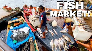 The Amazons MONSTER FISH MARKET amp Live Fish Cutting [upl. by Aitital91]